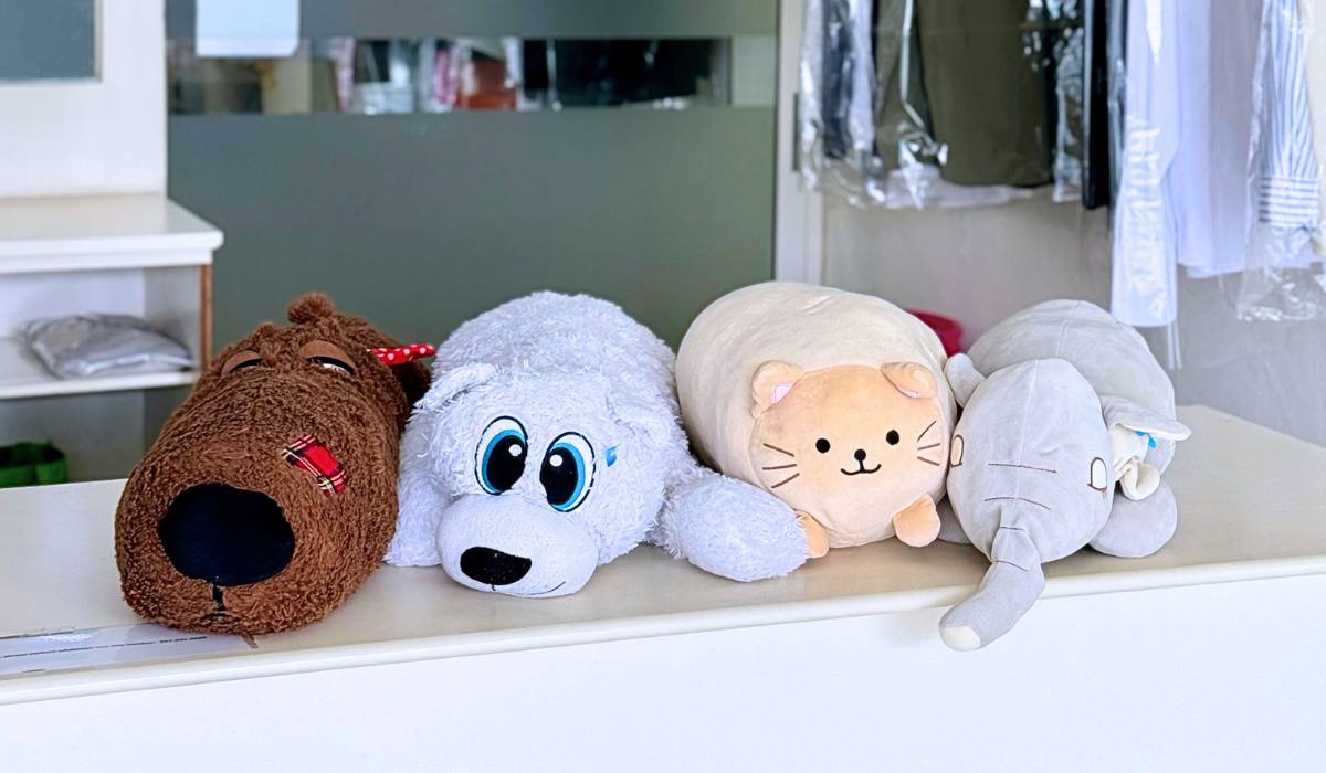 Spa Like Soft Toy Cleaning Pick Up Delivery Petaling Jaya and Ku V Clean Laundry